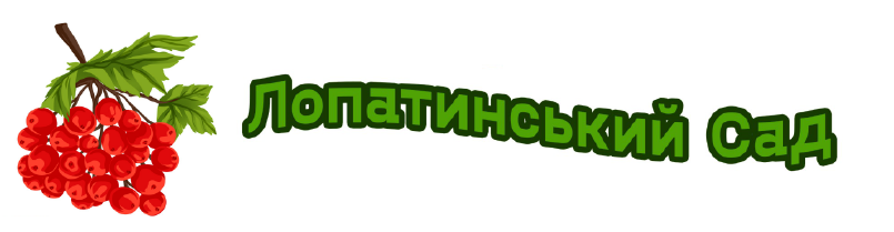 Лопатинский сад
